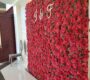 red-rose-flower-wall