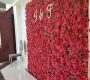 red-rose-flower-wall