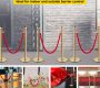 gold-stanchions-rental